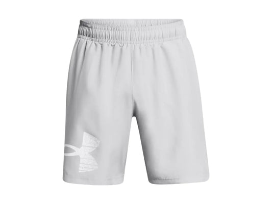 Under Armour Men's Mod Gray Graphic Woven Shorts